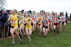 Intermediate girls 2019 New Balance English Schools Cross Country Champs, Temple Newsam, Leeds. Photo:  David T. Hewitson/Sports for All Pics